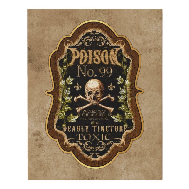 Halloween Gothic Skull And Crossbones Witch Potion Faux Canvas Print (Front)