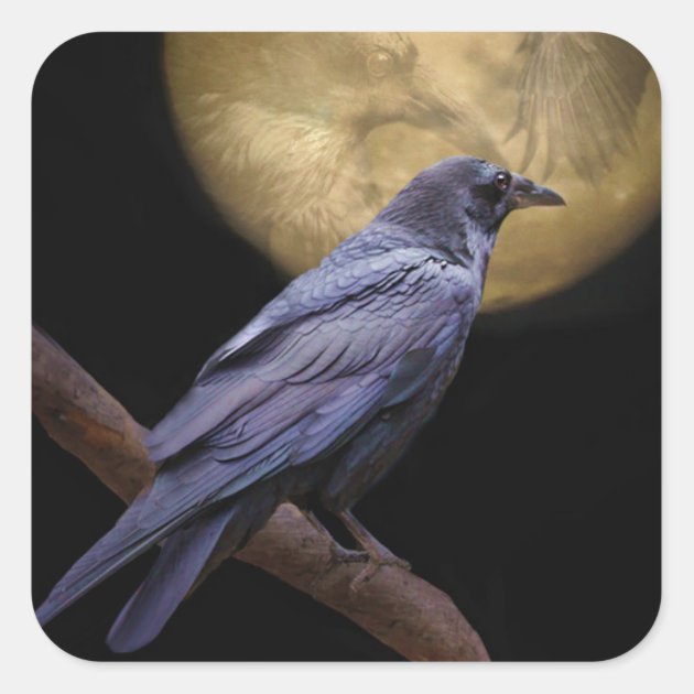 Halloween, Gothic Style Raven And Moon Square Sticker