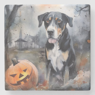 Halloween Greater Swiss With Pumpkins Scary Stone Coaster