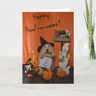 Halloween Greetings Card