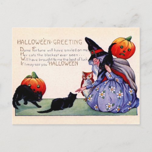 Halloween greetings from the Witch Owl and Cats Postcard