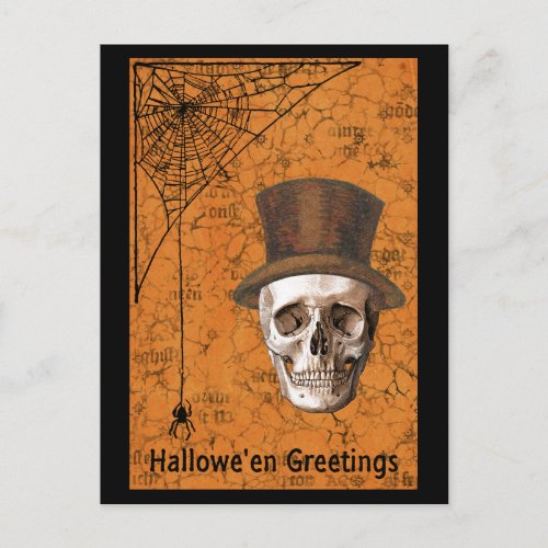 Halloween Greetings Skull Spiderweb Postcard