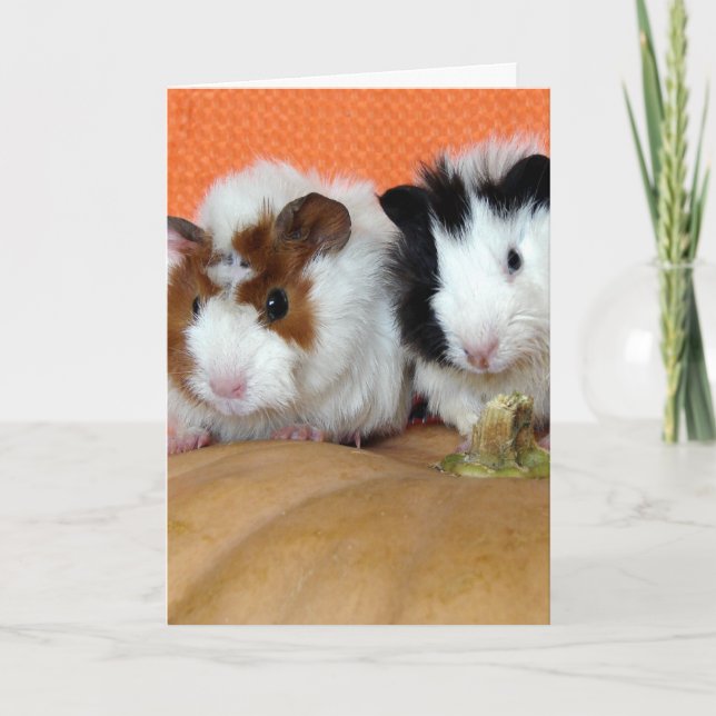 Halloween Guinea Pigs Card (Front)
