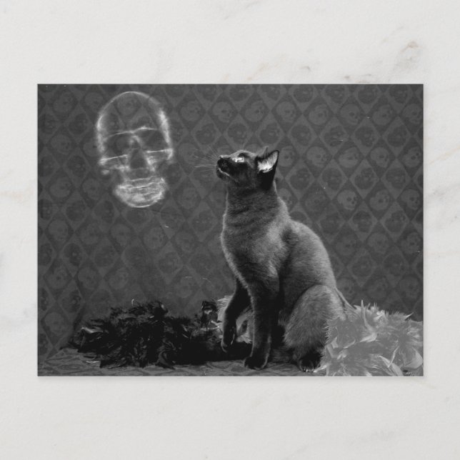 Halloween Happy & theGhost Postcard (Front)