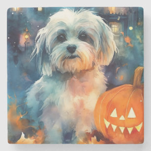 Halloween Havanese With Pumpkins Scary Stone Coaster