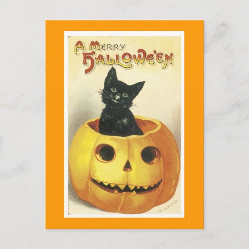 Halloween Jack_o_Lantern  Cat Postcard