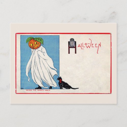 Halloween Jack O Lantern Ghost Black Cat Vintage Postcard