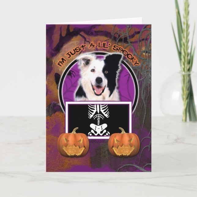 Halloween - Just a Lil Spooky - Border Collie Card (Front)