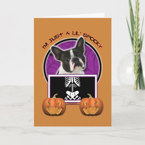 Halloween  Just a Lil Spooky  Boston Terrier Card