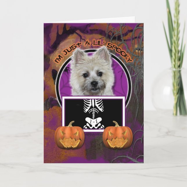Halloween - Just a Lil Spooky - Cairn - Teddy Bear Card (Front)