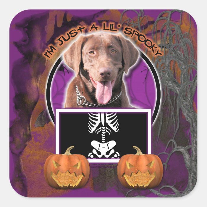 Halloween   Just a Lil Spooky   Labrador Chocolate Stickers