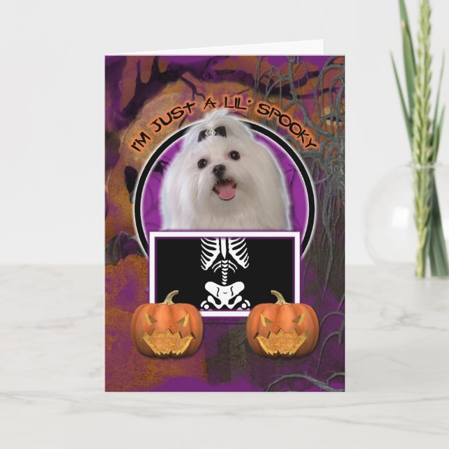 Halloween - Just a Lil Spooky - Maltese Card (Front)