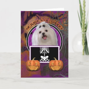 Halloween - Just a Lil Spooky - Maltese Card