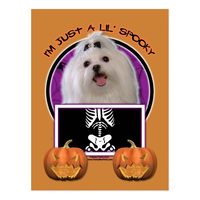 Halloween   Just a Lil Spooky   Maltese Postcard