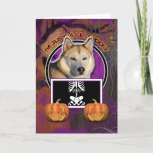 Halloween -Just a Lil Spooky Siberian Husky Copper Card