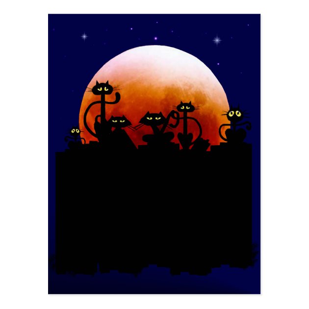Halloween Kitties And Halloween Moon Postcard