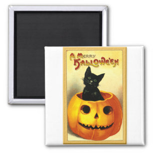 Halloween Kitty Sitting in Jack O Lantern Magnet