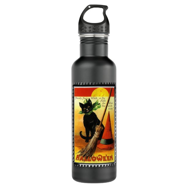Halloween Kitty Sitting Witches Hat Stainless Steel Water Bottle (Front)