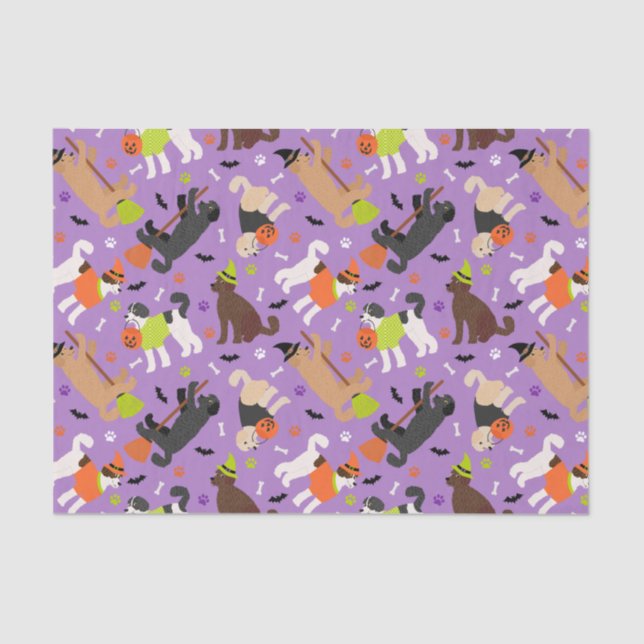 Halloween Labradoodle / Goldendoodle Tissue Paper (Front)