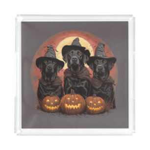 Halloween Labrador Retriever Dogs Witch Hats Acrylic Tray