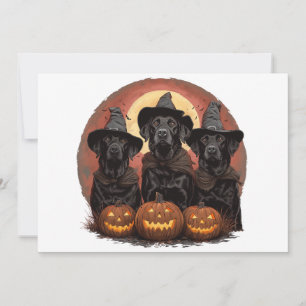 Halloween Labrador Retriever Dogs Witch Hats Invitation