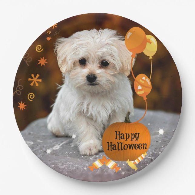 Halloween, Maltese Puppy,  Paper Plates (Front)