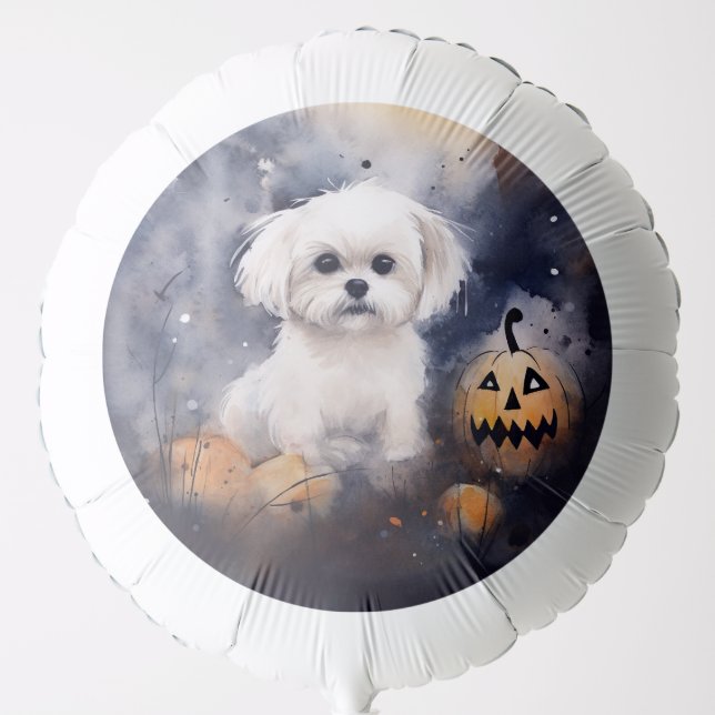 Halloween Maltese With Pumpkins Scary  Balloon (Front)