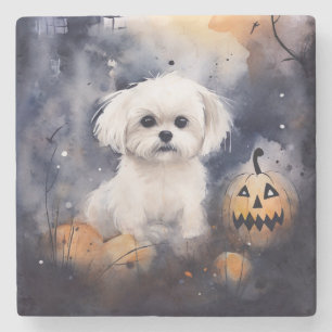 Halloween Maltese With Pumpkins Scary Stone Coaster