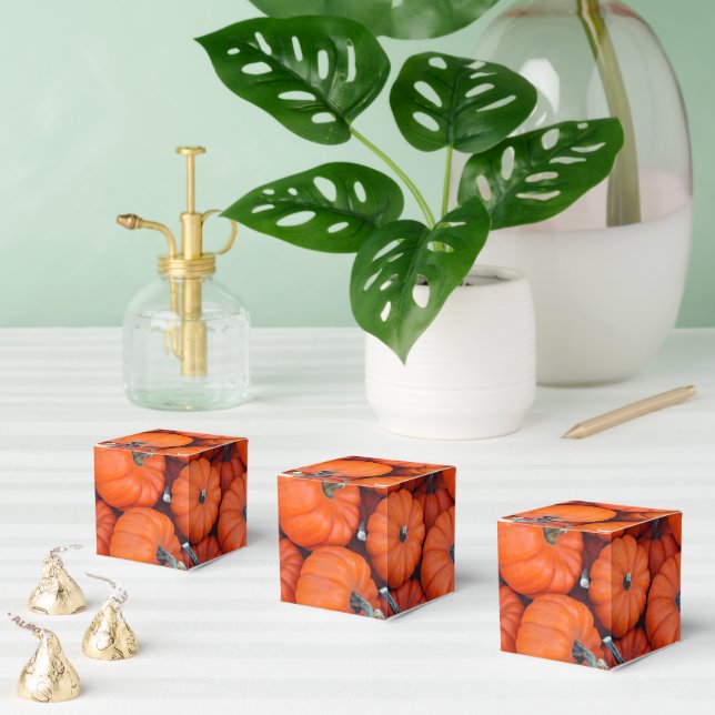 Halloween Mini Pumpkin Fall Autumn Pattern Photo Favor Boxes (Multiple)