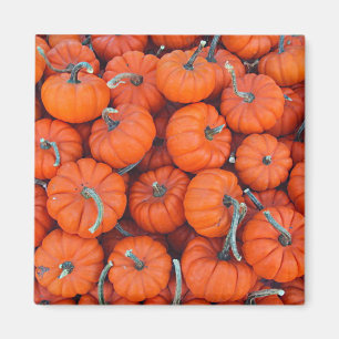 Halloween Mini Pumpkin Fall Autumn Pattern Photo Magnet