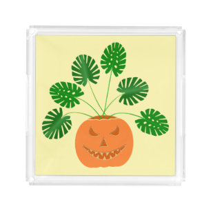 Halloween Monstera Plant in Pumpkin Acrylic Tray
