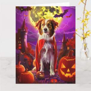 Halloween Nova Scotia Duck Toller Vampire Pumpkin Card