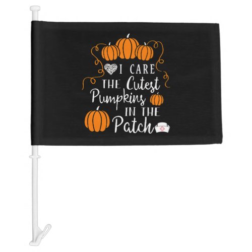 Halloween Nurse   Car Flag