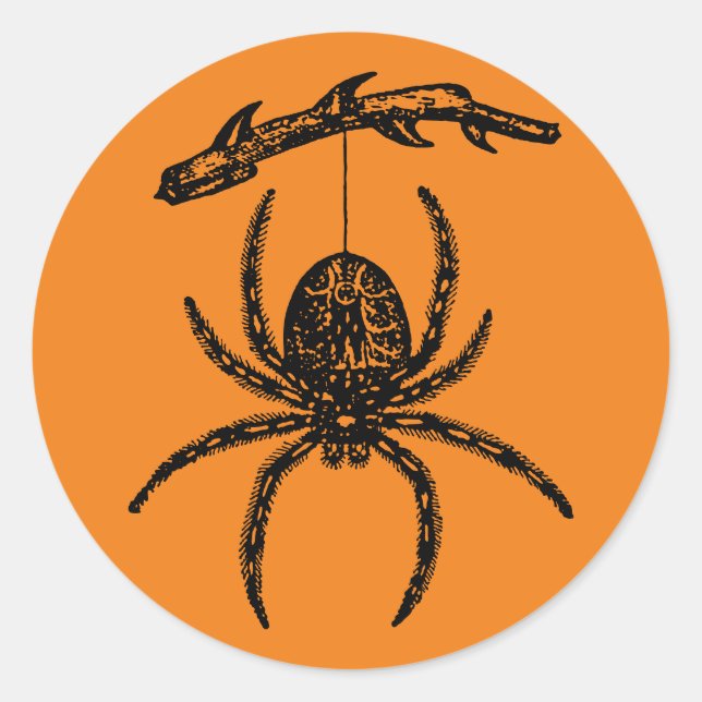 Halloween Orange Spider Classic Round Sticker (Front)