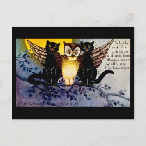 Halloween Owl and Black Cats Postcard