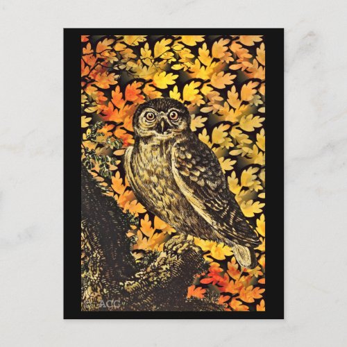 Halloween Owl Autumn Foliage Postcard