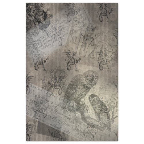 Halloween Owl Family Vintage Ephemera Tissue Paper