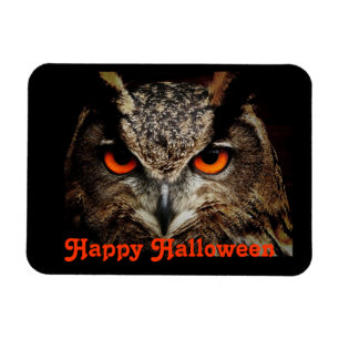 Halloween Owl Magnet