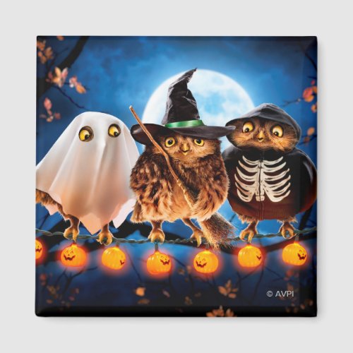 Halloween Owls Magnet