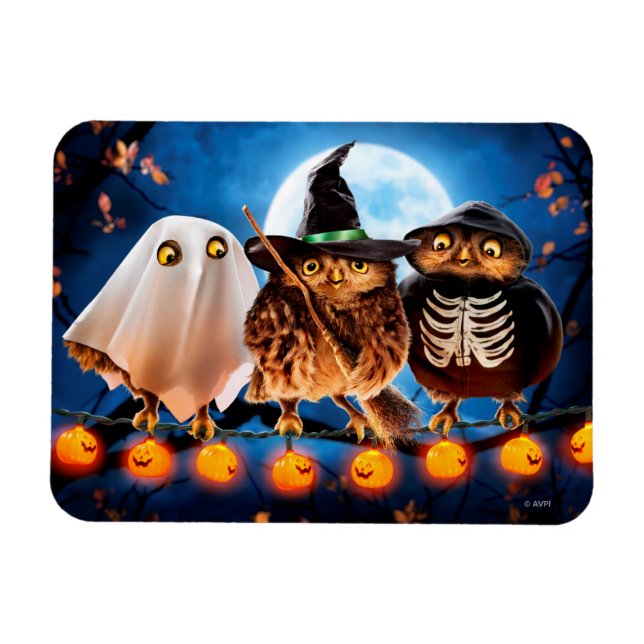 Halloween Owls Magnet (Horizontal)