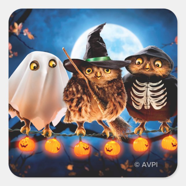 Halloween Owls Square Sticker (Front)