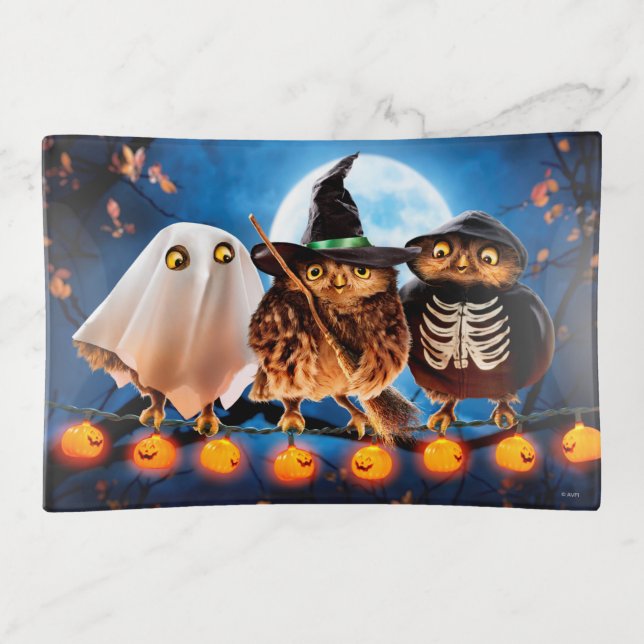 Halloween Owls Trinket Tray (Front)