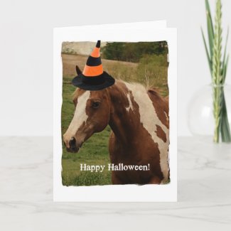 Halloween Paint Horse