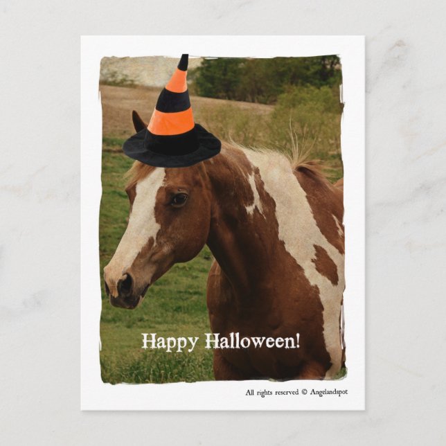 Halloween Paint Horse Postcard (Front)
