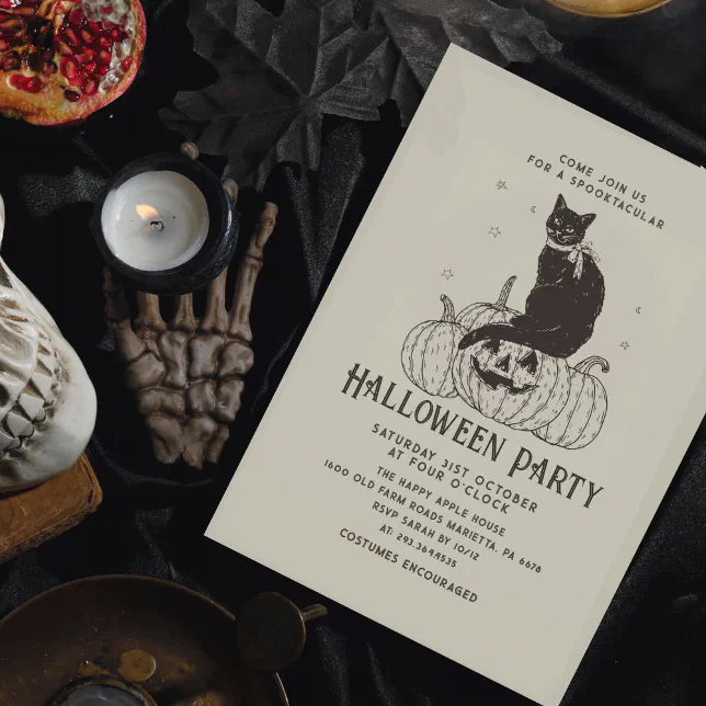 Halloween Party Black Cat Pumpkin Invitation | Zazzle