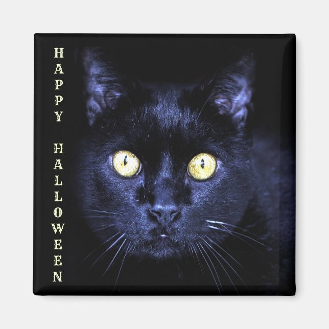 Halloween Party Scary Black Cat Horror Dark Night Magnet (Front)