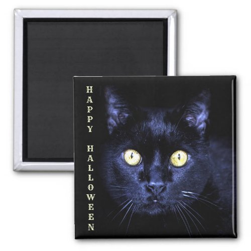 Halloween Party Scary Black Cat Horror Dark Night Magnet