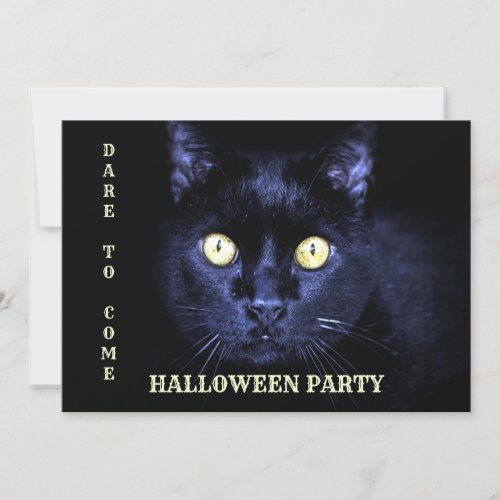 Halloween Party Scary Black Cat Horror Night Invitation