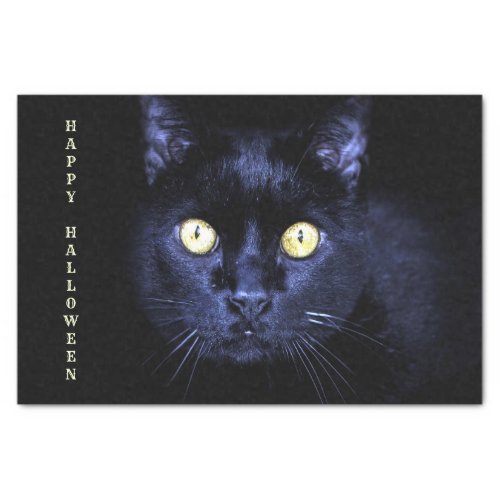 Halloween Party Scary Black Cat Horror Night Tissue Paper