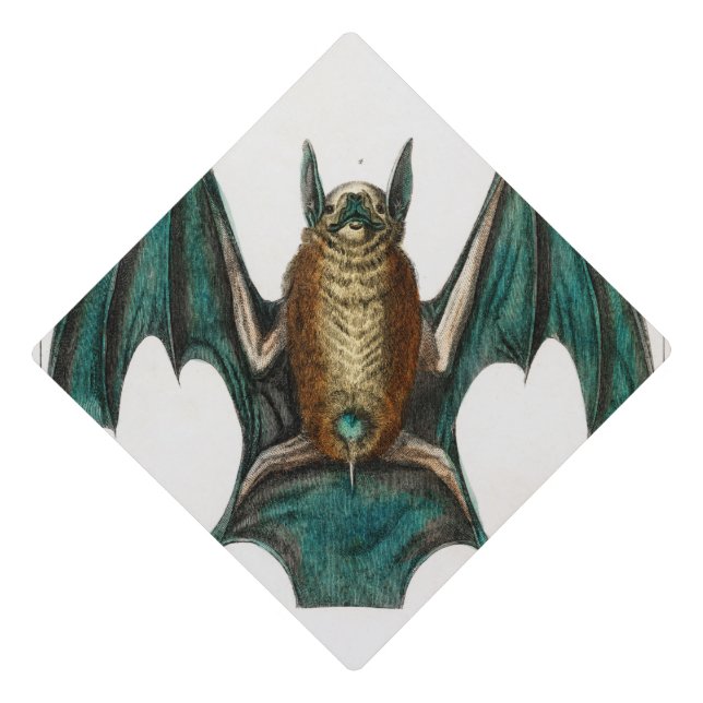 Halloween Personalized Bats Illustration Graduation Cap Topper (Front)